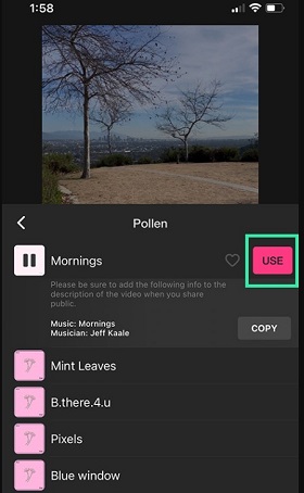 add music in inshot from its music library
