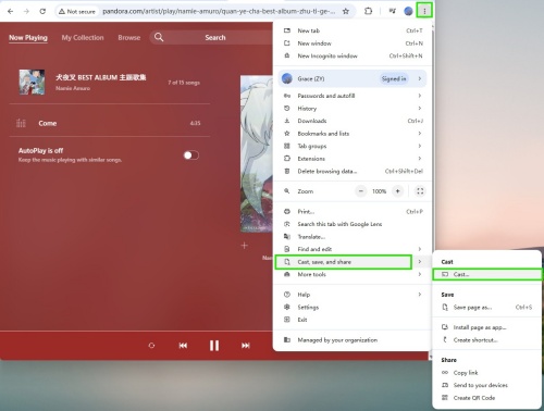 cast from pandora web to google home