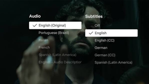 change netflix subtitle selections to tun on or off closed captions