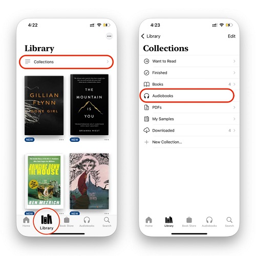 check your apple audiobooks in books app