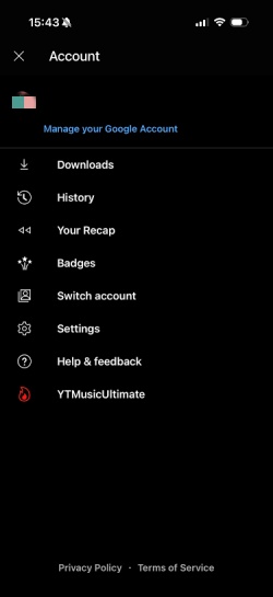 check ytmusicultimate on setting page