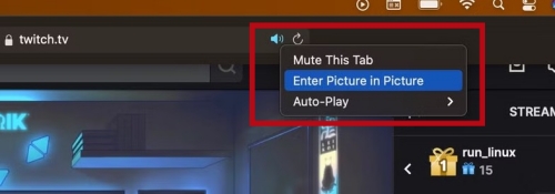 click the volume icon on safari to get netflix pip