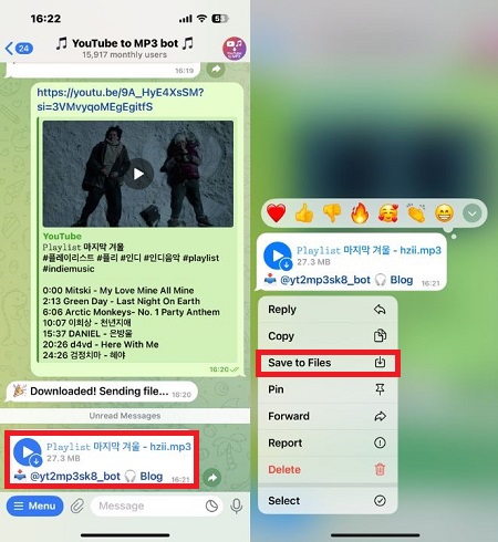 download youtube playlist on iphone using bot