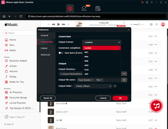 drmare apple music converter settings