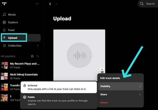 edit tidal uploads pc