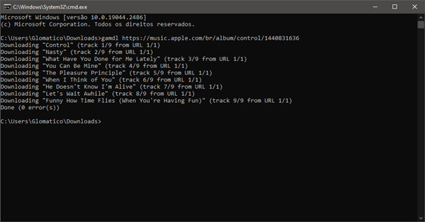 gamdl command line window