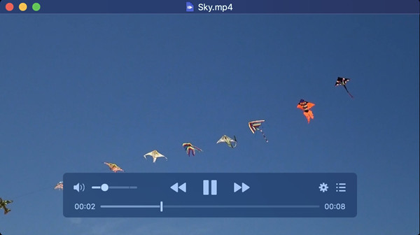 iina player main interface
