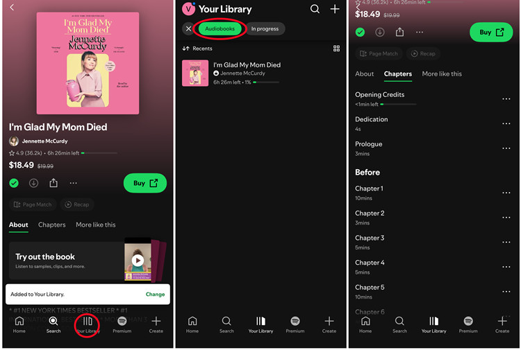 ios spotify library listen to audiobook chapters