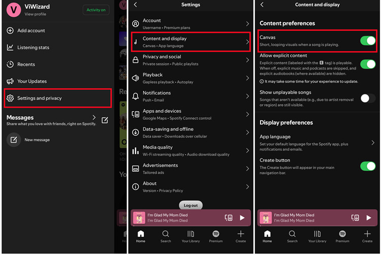 ios spotify settings and privacy content and display canvas