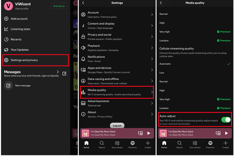 ios spotify settings and privacy media quality auto adjust