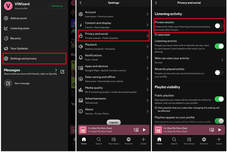 ios spotfiy settings and privacy privacy and social private session