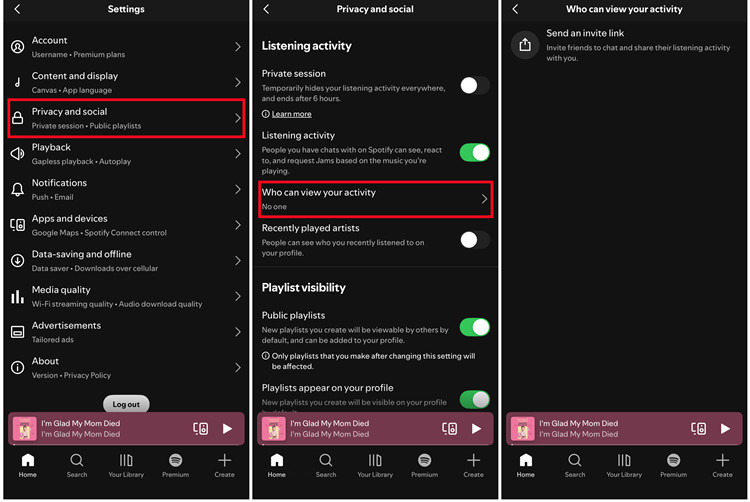 ios spotfiy settings and privacy privacy and social who can view your activity