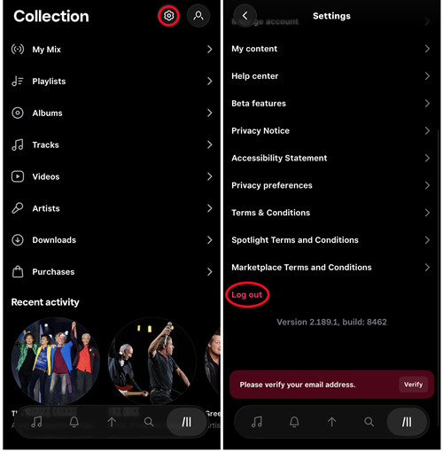 ios tidal settings log out