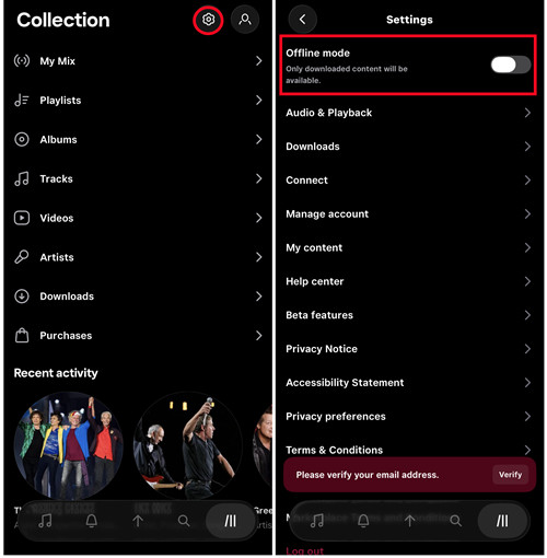 ios tidal settings offline mode