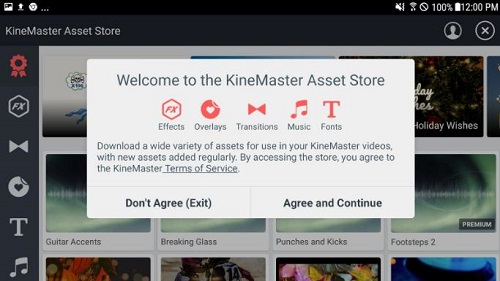kinemaster asset store