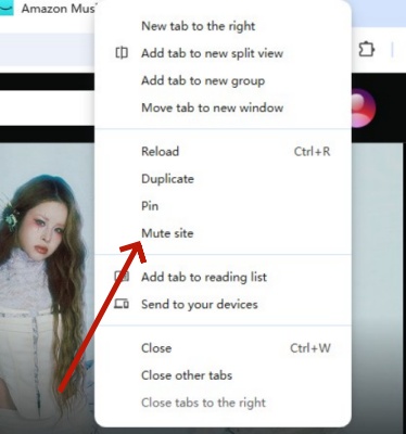 mute amazon music site