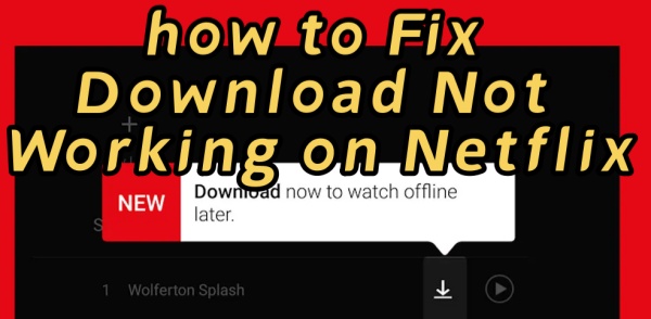 netflix download not working
