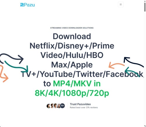 pazu netflix downloader web page
