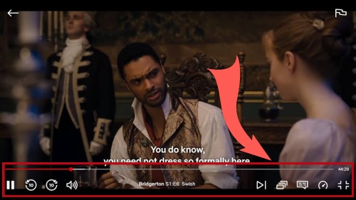 reveal netflix playback controls
