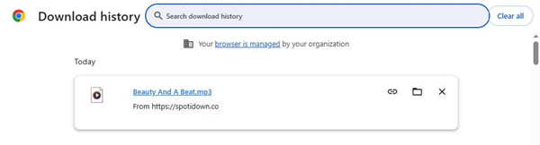 spotdownloader downloaded mp3 file
