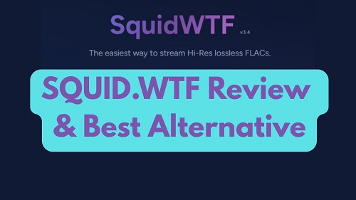 squid wtf review