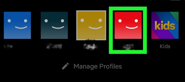 switch netflix profile