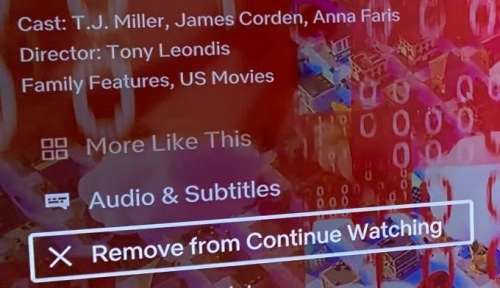 the remove from continue watching option on netflix