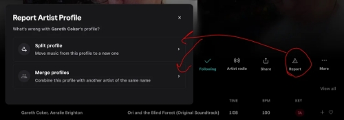 the report button on tidal