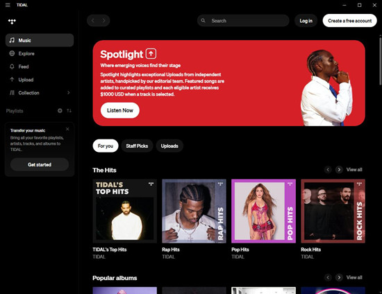 tidal desktop app main interface