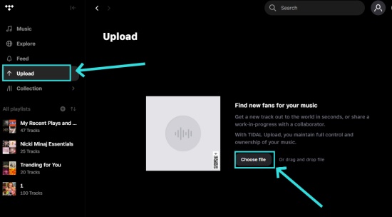tidal upload web player