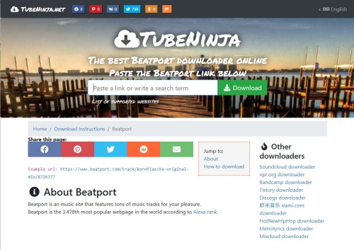 tubeninja web page