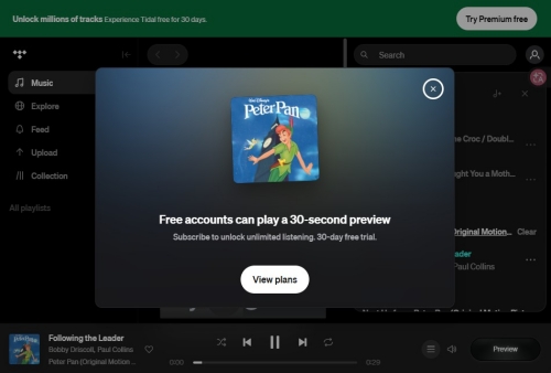 visual ads on tidal